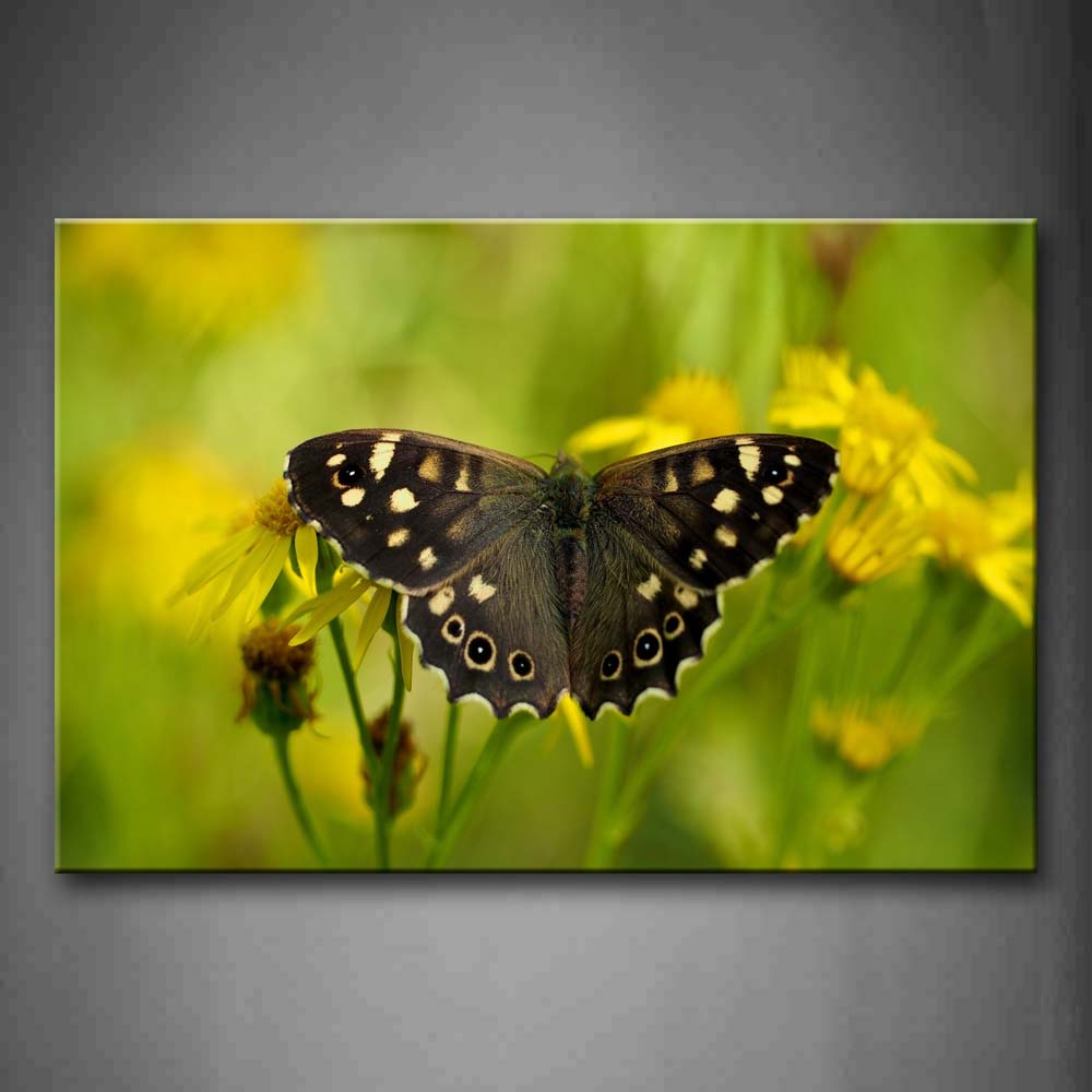 Black Butterfly With Spot In Yellow Flower Wall Art Painting Pictures Print On Canvas Animal The Picture For Home Modern Decoration 