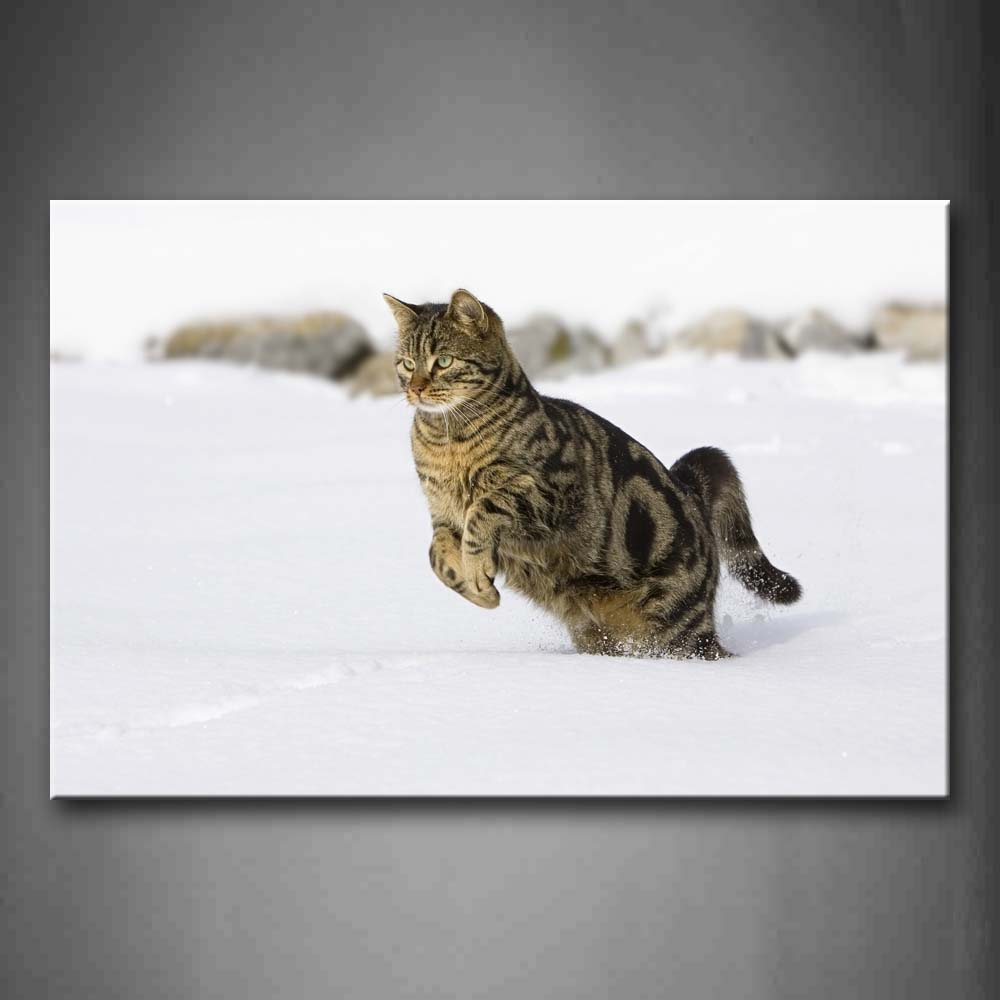 Cat Play On Snowfield Wall Art Painting The Picture Print On Canvas Animal Pictures For Home Decor Decoration Gift 