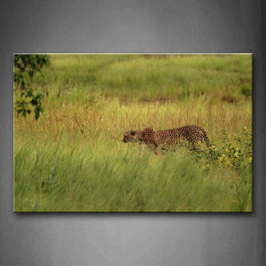 Cheetah Walking In The Bushes Wall Art Painting Pictures Print On Canvas Animal The Picture For Home Modern Decoration 