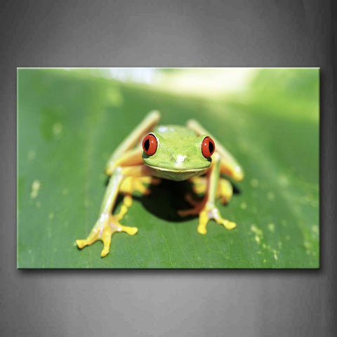 Red Eyed Tree Frog Sit On Green Leafs Wall Art Painting The Picture Print On Canvas Animal Pictures For Home Decor Decoration Gift 