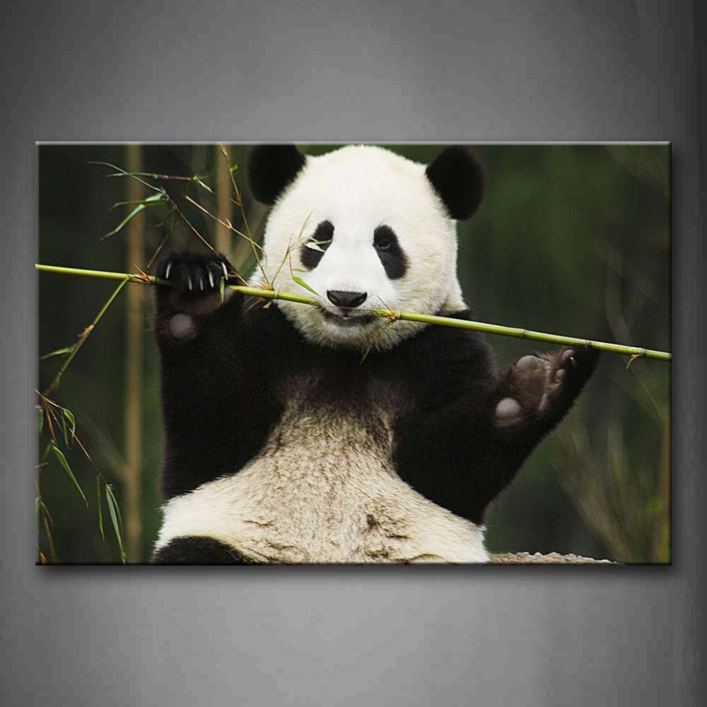 Lovely Panda Eating Green Bamboo Wall Art Painting The Picture Print On Canvas Animal Pictures For Home Decor Decoration Gift 