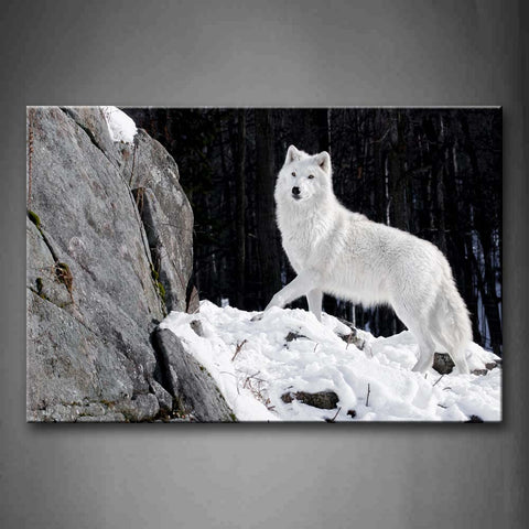 Black And White White Wolf Stand On Snowfield Rock Tree Wall Art Painting The Picture Print On Canvas Animal Pictures For Home Decor Decoration Gift 