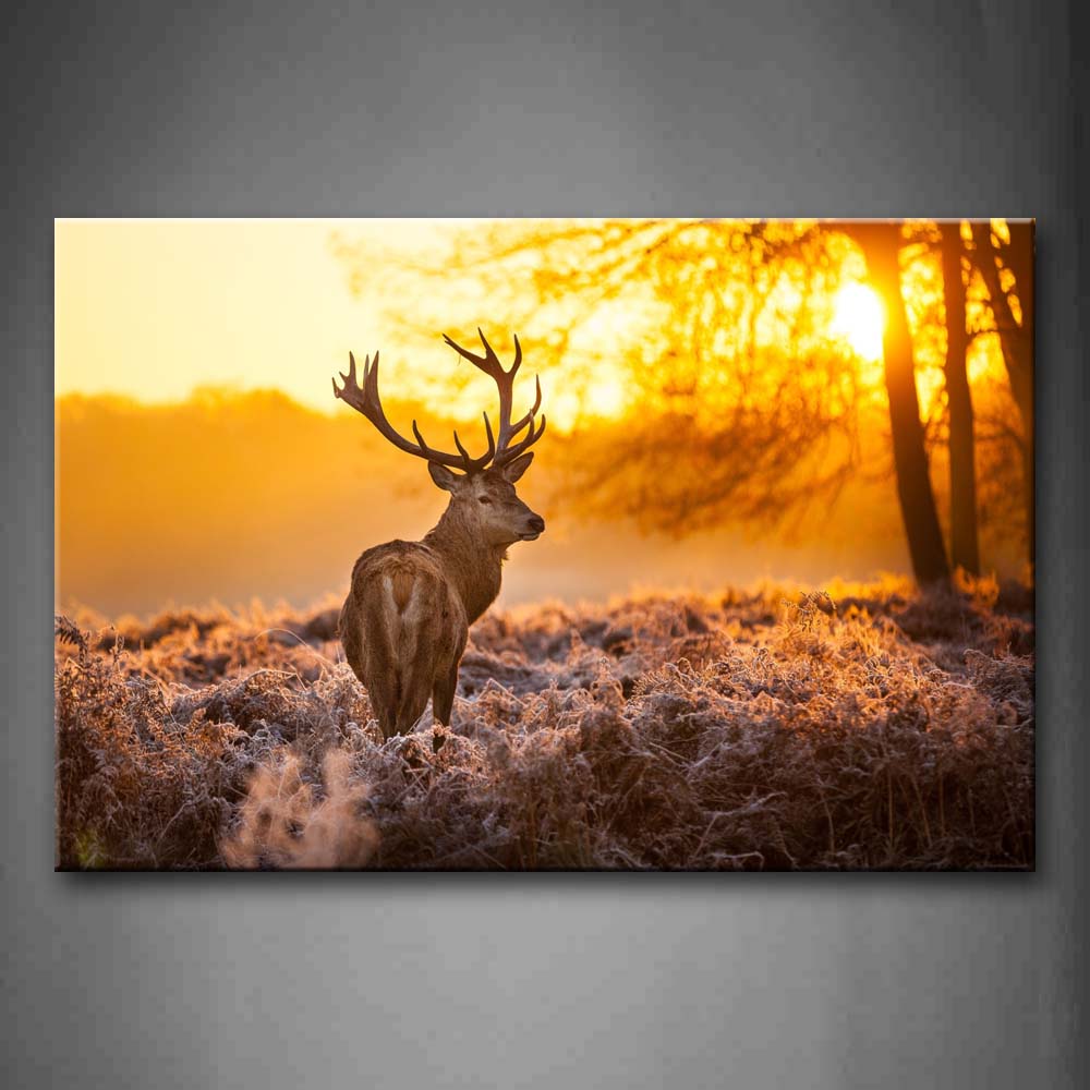 Deer Look Back Tree Sunset Wall Art Painting The Picture Print On Canvas Animal Pictures For Home Decor Decoration Gift 