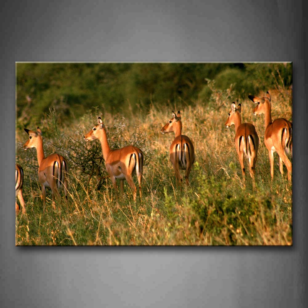 Antelope Crowd Walking Inn Grass Sunlight Wall Art Painting The Picture Print On Canvas Animal Pictures For Home Decor Decoration Gift 