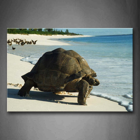 Turtle Crawl On Beach Wall Art Painting Pictures Print On Canvas Animal The Picture For Home Modern Decoration 