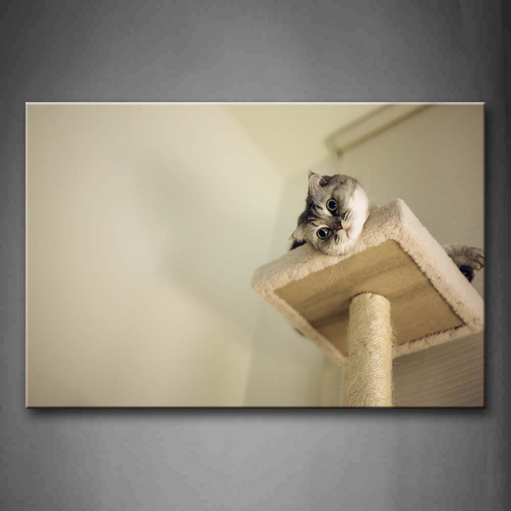 Cute Cat Inside Room Wall Art Painting The Picture Print On Canvas Animal Pictures For Home Decor Decoration Gift 