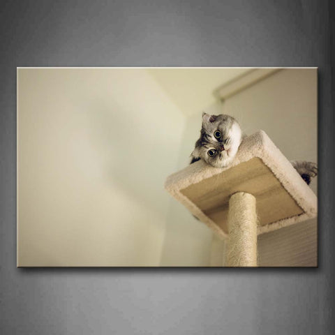 Cute Cat Inside Room Wall Art Painting The Picture Print On Canvas Animal Pictures For Home Decor Decoration Gift 