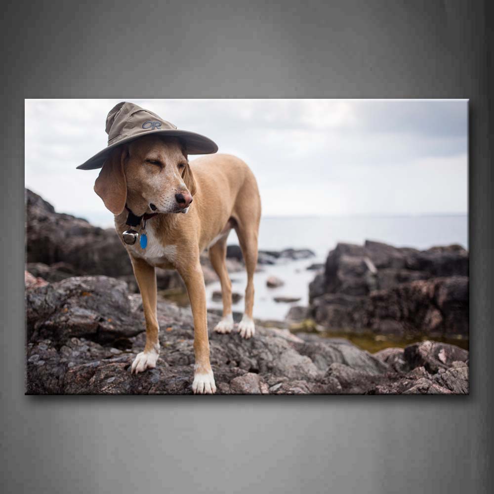 Yellow Dog Wear A Cap Stand On Rock On Beach Wall Art Painting The Picture Print On Canvas Animal Pictures For Home Decor Decoration Gift 