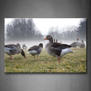 Group Of Goose Stand On Lawn Tree Wall Art Painting The Picture Print On Canvas Animal Pictures For Home Decor Decoration Gift 