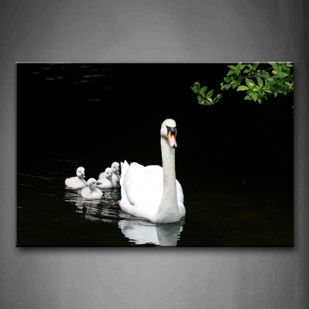 Swan Bring Its Cub On Water Wall Art Painting Pictures Print On Canvas Animal The Picture For Home Modern Decoration 