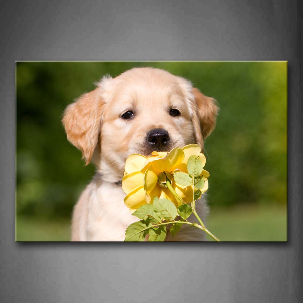 Yellow Puppy Smell A Yellow Flower Wall Art Painting The Picture Print On Canvas Animal Pictures For Home Decor Decoration Gift 