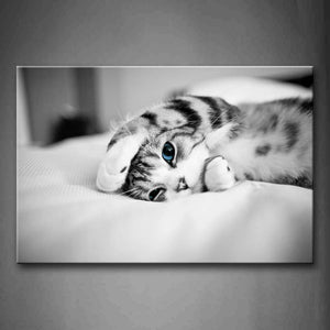 Black And White Cat Lie On White Blanket Wall Art Painting Pictures Print On Canvas Animal The Picture For Home Modern Decoration 