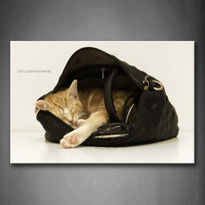 Cat In Black Bag Sleeping Wall Art Painting Pictures Print On Canvas Animal The Picture For Home Modern Decoration 