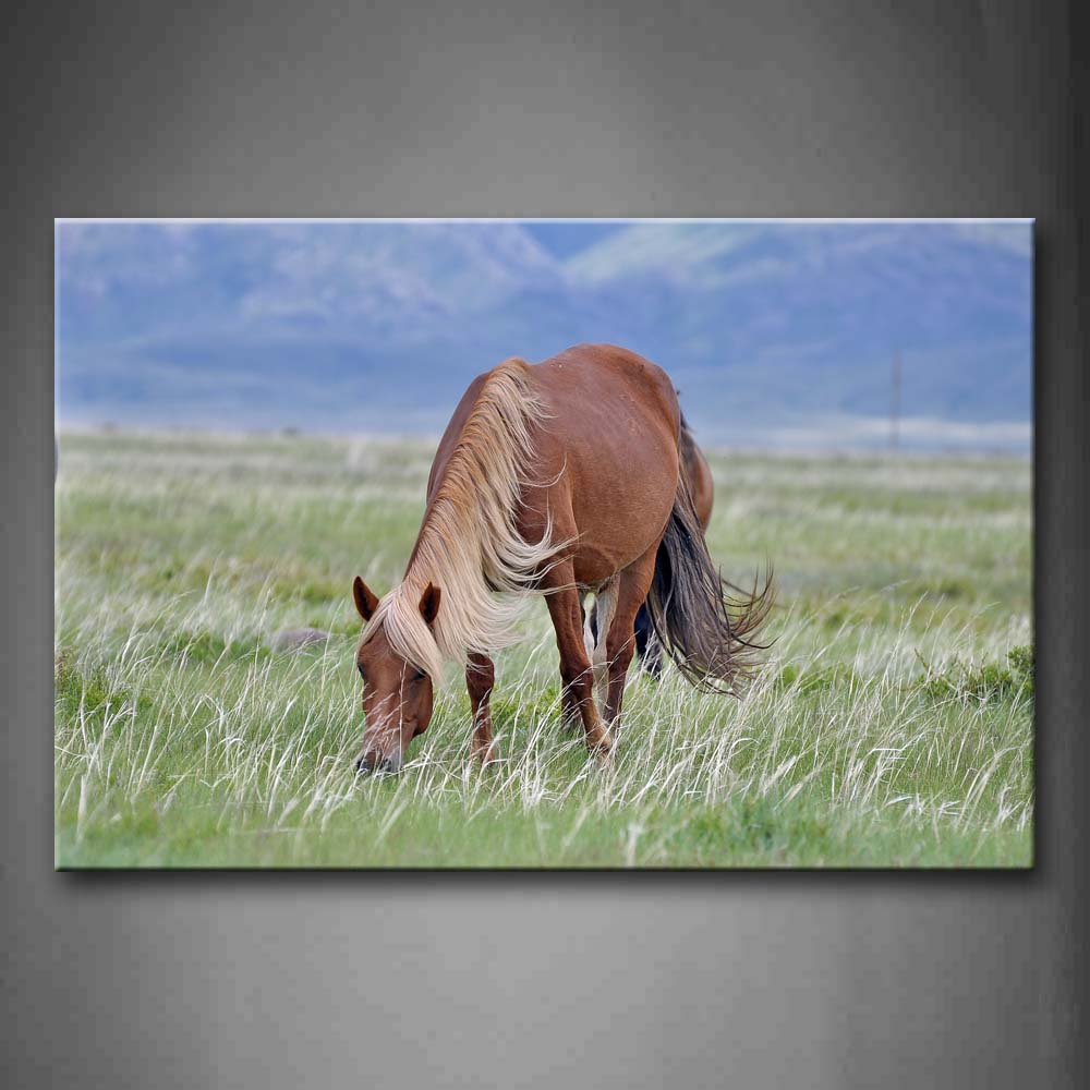 Brown Horse Eating Grass On Grassland Wall Art Painting Pictures Print On Canvas Animal The Picture For Home Modern Decoration 