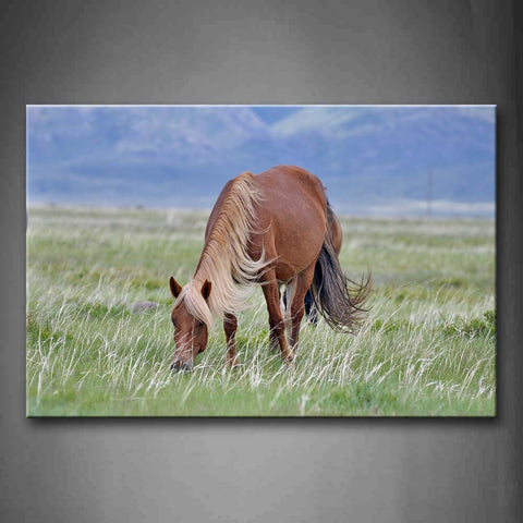 Brown Horse Eating Grass On Grassland Wall Art Painting Pictures Print On Canvas Animal The Picture For Home Modern Decoration 