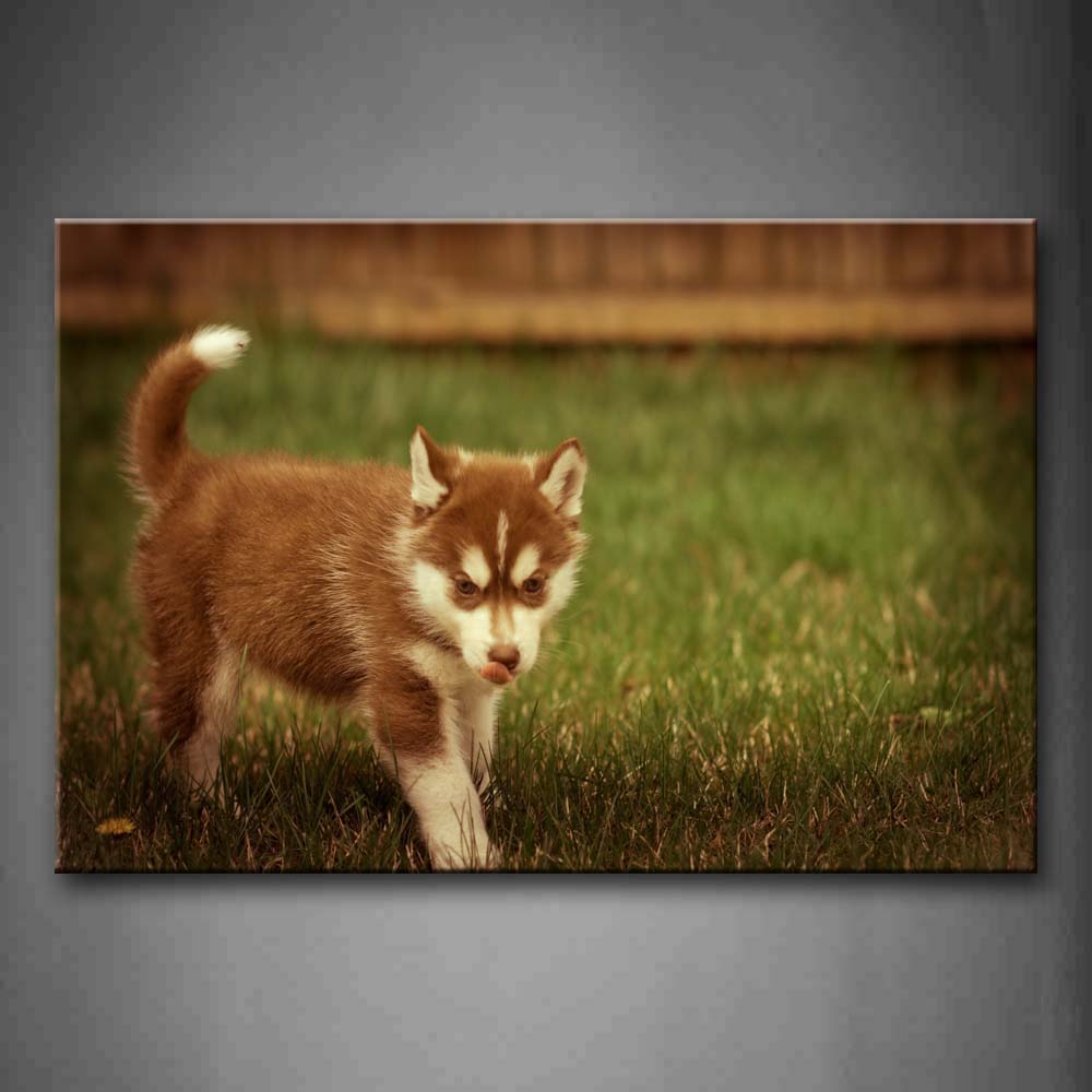 Brown And White Puppy Stand On Lawn Wall Art Painting The Picture Print On Canvas Animal Pictures For Home Decor Decoration Gift 