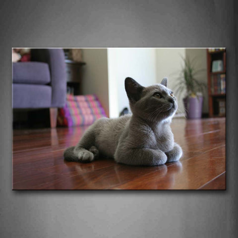 Gray Cat Sit On Land Inside Room Wall Art Painting Pictures Print On Canvas Animal The Picture For Home Modern Decoration 