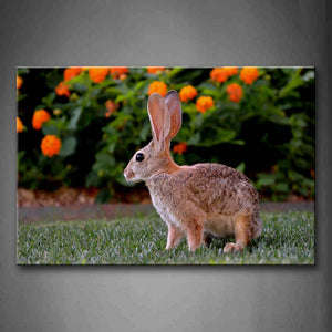 Brown Rabbit Stand On Grassland Orange Flower Wall Art Painting The Picture Print On Canvas Animal Pictures For Home Decor Decoration Gift 