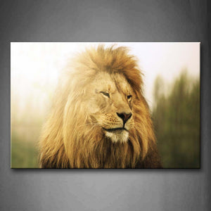 Lion Staring Head  Wall Art Painting Pictures Print On Canvas Animal The Picture For Home Modern Decoration 