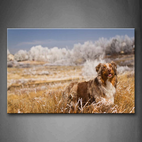 Border Collie Stand On Yellow Grass White Tree Wall Art Painting The Picture Print On Canvas Animal Pictures For Home Decor Decoration Gift 