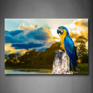 Yellow And Blue Macaw Stand On Dry Wood Wall Art Painting Pictures Print On Canvas Animal The Picture For Home Modern Decoration 