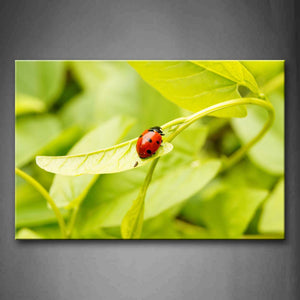 Ladybug Crawl On Green Leaf Wall Art Painting Pictures Print On Canvas Animal The Picture For Home Modern Decoration 