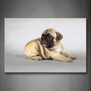 Yellow Puppy Sit In Gray Background Wall Art Painting Pictures Print On Canvas Animal The Picture For Home Modern Decoration 