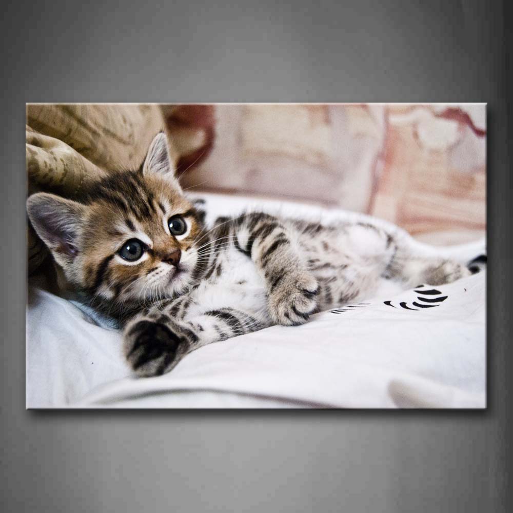 Cute Cat Lie On White Blanket Wall Art Painting The Picture Print On Canvas Animal Pictures For Home Decor Decoration Gift 