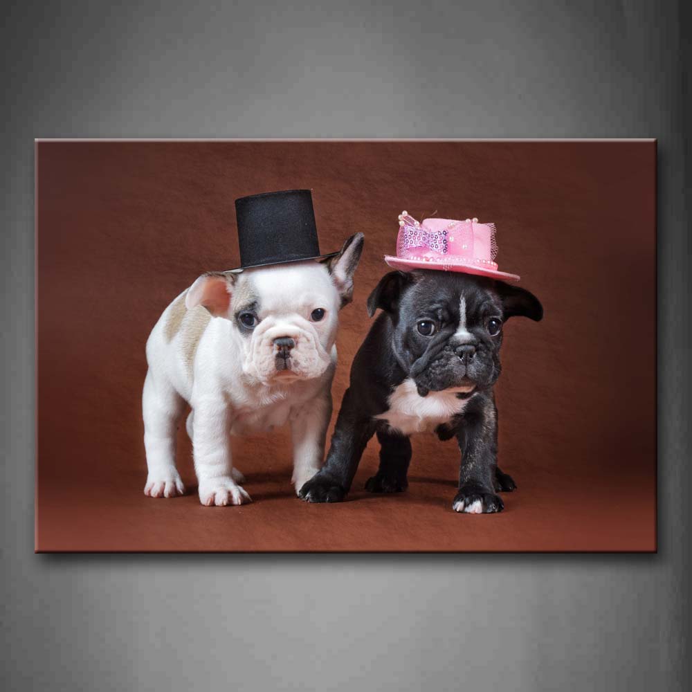 Black And White Puppys Wear Cap In Pink Background Wall Art Painting Pictures Print On Canvas Animal The Picture For Home Modern Decoration 