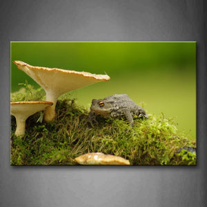 Toad Stop Under Mushroom Moss Wall Art Painting The Picture Print On Canvas Animal Pictures For Home Decor Decoration Gift 