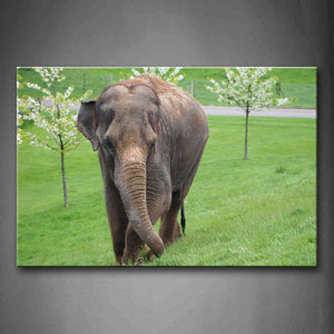 Asian Elephant Walk On Lawn Trees Wall Art Painting Pictures Print On Canvas Animal The Picture For Home Modern Decoration 