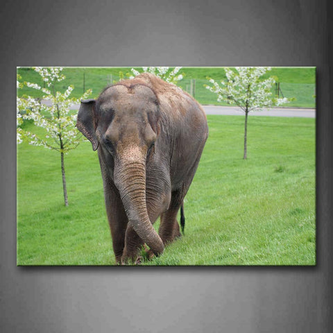 Asian Elephant Walk On Lawn Trees Wall Art Painting Pictures Print On Canvas Animal The Picture For Home Modern Decoration 