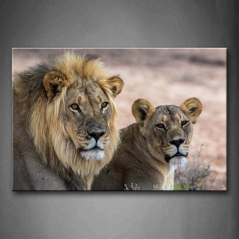 Two Lions Staring  Wall Art Painting Pictures Print On Canvas Animal The Picture For Home Modern Decoration 