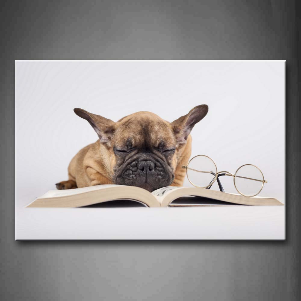 Yellow Dog Sleep On Book Near Glass Wall Art Painting The Picture Print On Canvas Animal Pictures For Home Decor Decoration Gift 