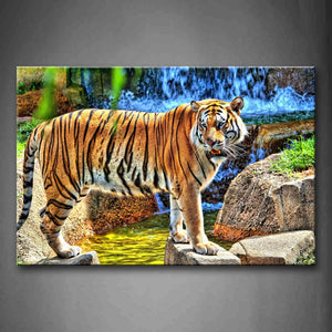 Tiger Stand On Rock Grass Waterfall Wall Art Painting The Picture Print On Canvas Animal Pictures For Home Decor Decoration Gift 
