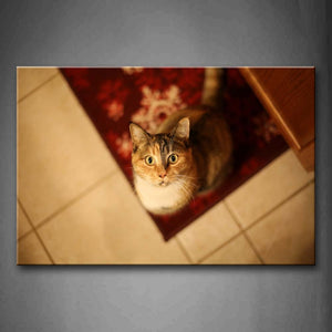 Cat Look Up At Ceiling Carpet  Wall Art Painting The Picture Print On Canvas Animal Pictures For Home Decor Decoration Gift 