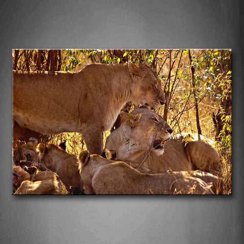 Group Of Lions Rest Under Tree Wall Art Painting The Picture Print On Canvas Animal Pictures For Home Decor Decoration Gift 