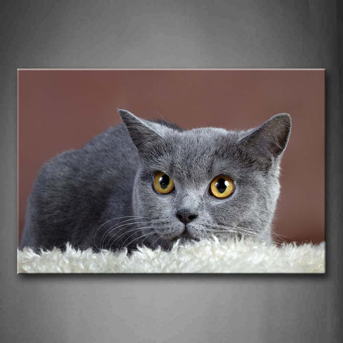 Gray Cat Bend Over Blanket Wall Art Painting Pictures Print On Canvas Animal The Picture For Home Modern Decoration 