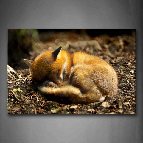 Yellow Fox Sleep  Wall Art Painting The Picture Print On Canvas Animal Pictures For Home Decor Decoration Gift 