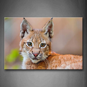 Lynx Look Back  Wall Art Painting Pictures Print On Canvas Animal The Picture For Home Modern Decoration 