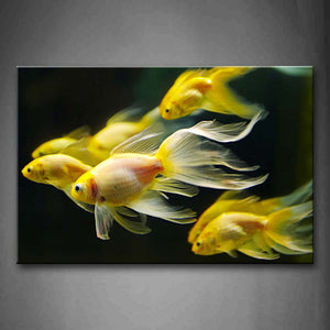 Group Of Golden Fish In Black Background Wall Art Painting Pictures Print On Canvas Animal The Picture For Home Modern Decoration 