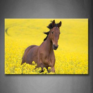 Brown Horse Running In Yellow Flower Wall Art Painting The Picture Print On Canvas Animal Pictures For Home Decor Decoration Gift 