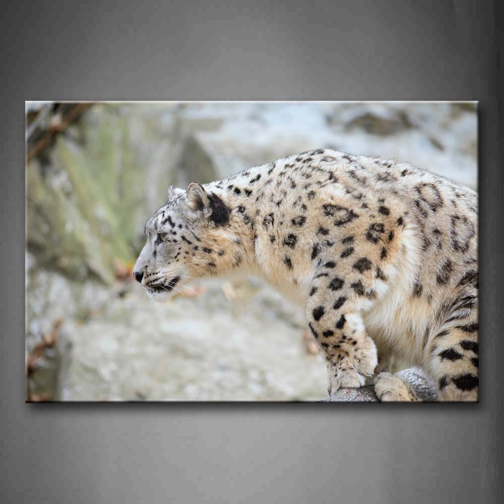 Snow Leopard Stand On Wood  Wall Art Painting Pictures Print On Canvas Animal The Picture For Home Modern Decoration 