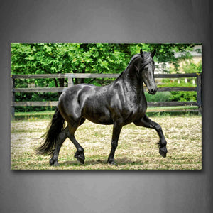 Black Horse Run Pasture Wall Art Painting Pictures Print On Canvas Animal The Picture For Home Modern Decoration 