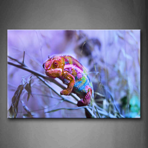 Colorful Chameleon Crawl On Branch Wall Art Painting Pictures Print On Canvas Animal The Picture For Home Modern Decoration 