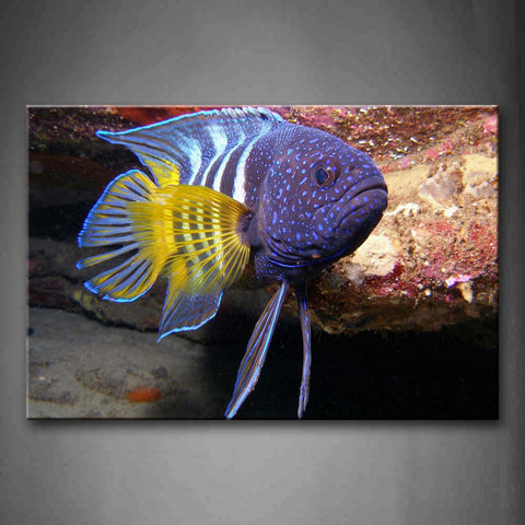 Colorful Fish Swiming In Sea Rock Wall Art Painting Pictures Print On Canvas Animal The Picture For Home Modern Decoration 