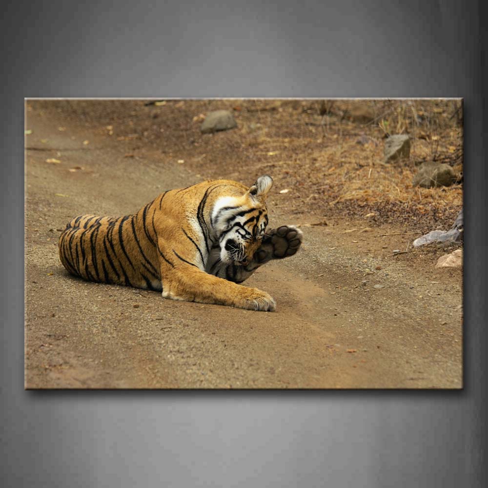 Tiger Sit On Mud Road Wall Art Painting The Picture Print On Canvas Animal Pictures For Home Decor Decoration Gift 