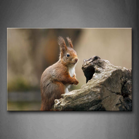 Squirrel Staring Dead Wood Wall Art Painting Pictures Print On Canvas Animal The Picture For Home Modern Decoration 