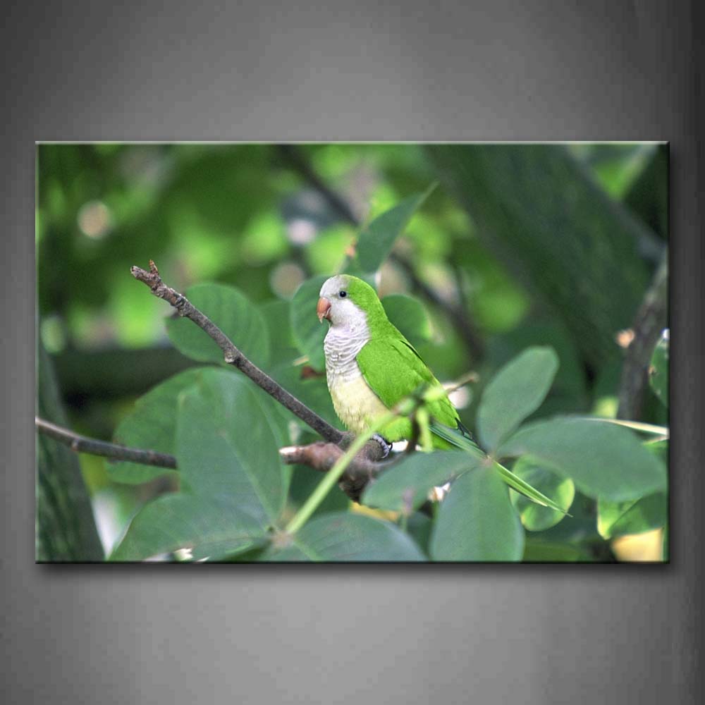 Green And Gray Parrot Stand On Branch Wall Art Painting The Picture Print On Canvas Animal Pictures For Home Decor Decoration Gift 