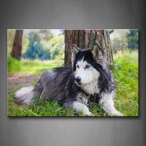 A Black And White Husky Sit Ander Tree Grass Wall Art Painting Pictures Print On Canvas Animal The Picture For Home Modern Decoration 